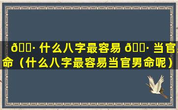 🕷 什么八字最容易 🕷 当官男命（什么八字最容易当官男命呢）